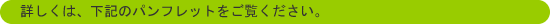 ڂ͉L̃ptbg